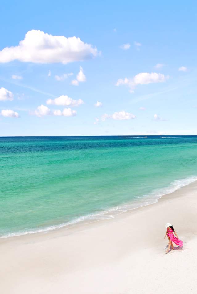 Top Abogados en Florida
