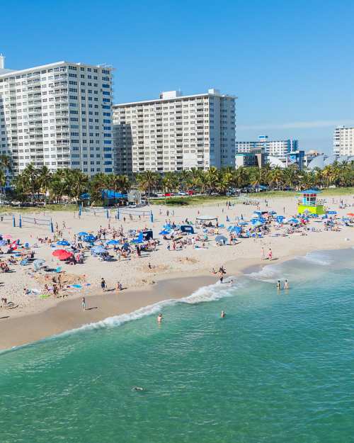 Top Abogados en Florida